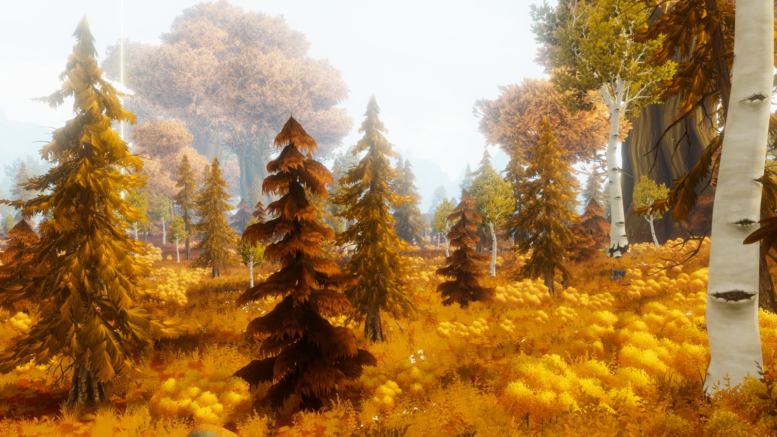 An autumn forest biome with gold grass, birch trees, and warm light in Where Giants Fall.